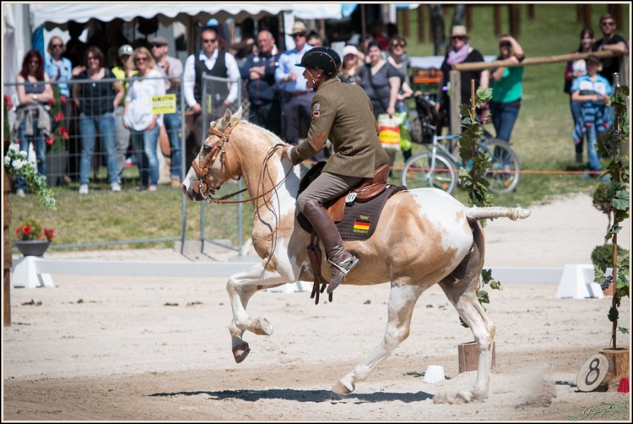 Pferd International 135